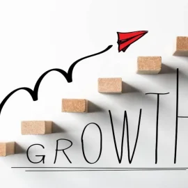 2.1-ORGANIC-GROWTH-1024x683