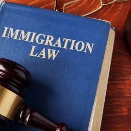 international-business-and-immigration-attorney