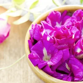 purple-color-flowers-butterfly-pea-600nw-234452662